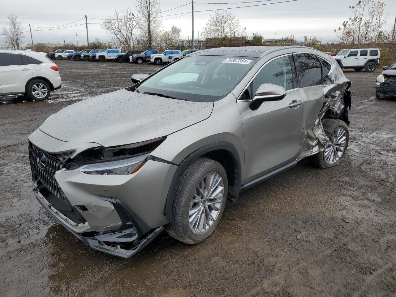 2024 Lexus NX VIN 2T2GKCEZ8RC020917