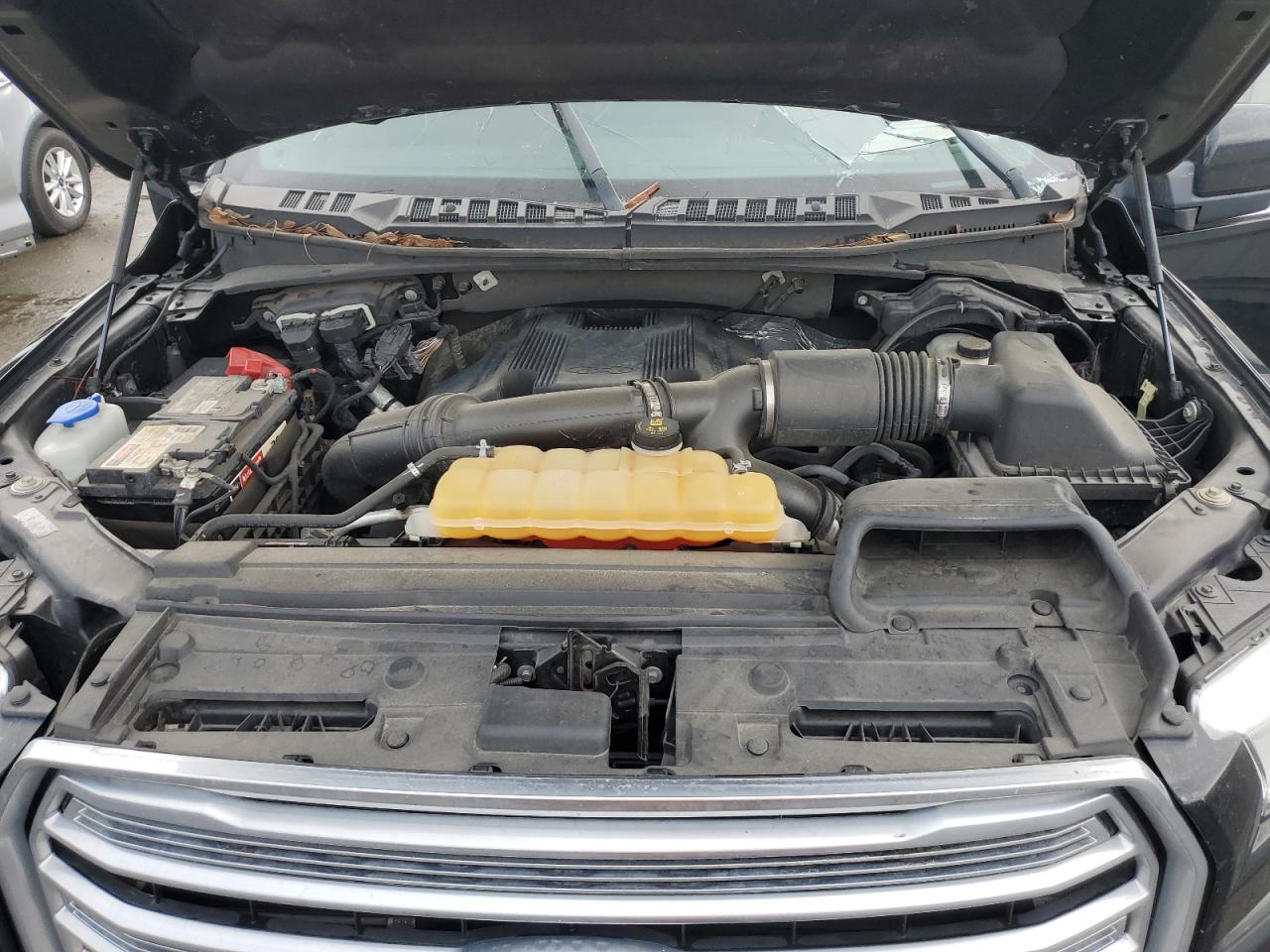 2017 Ford F-150 VIN 1FTEW1EG9HFC11948 Copart auction photo, top/roof damage thumbnail 11