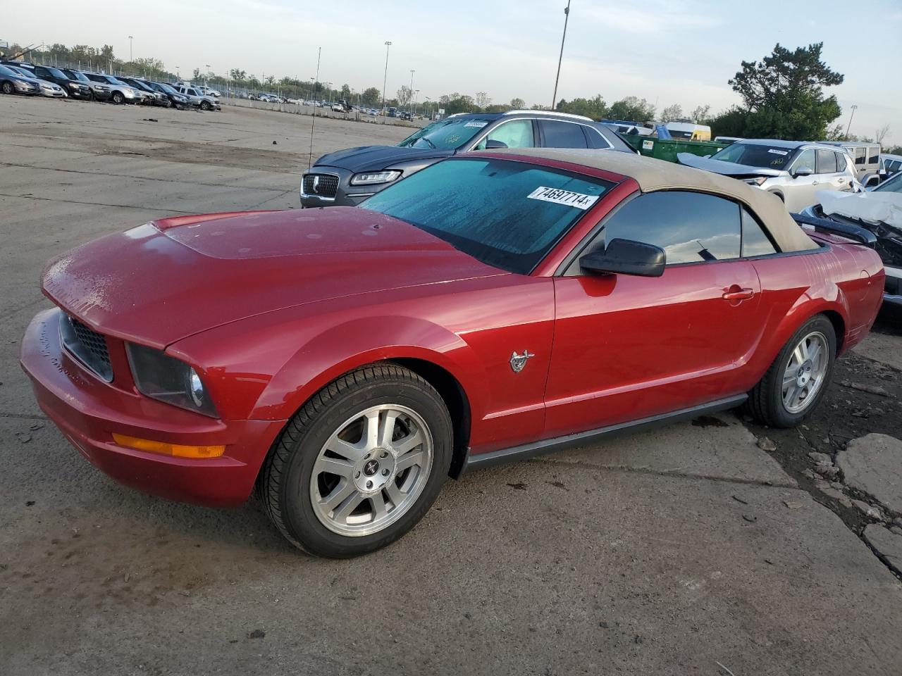 2009 Ford Mustang VIN 1ZVHT84N995127356
