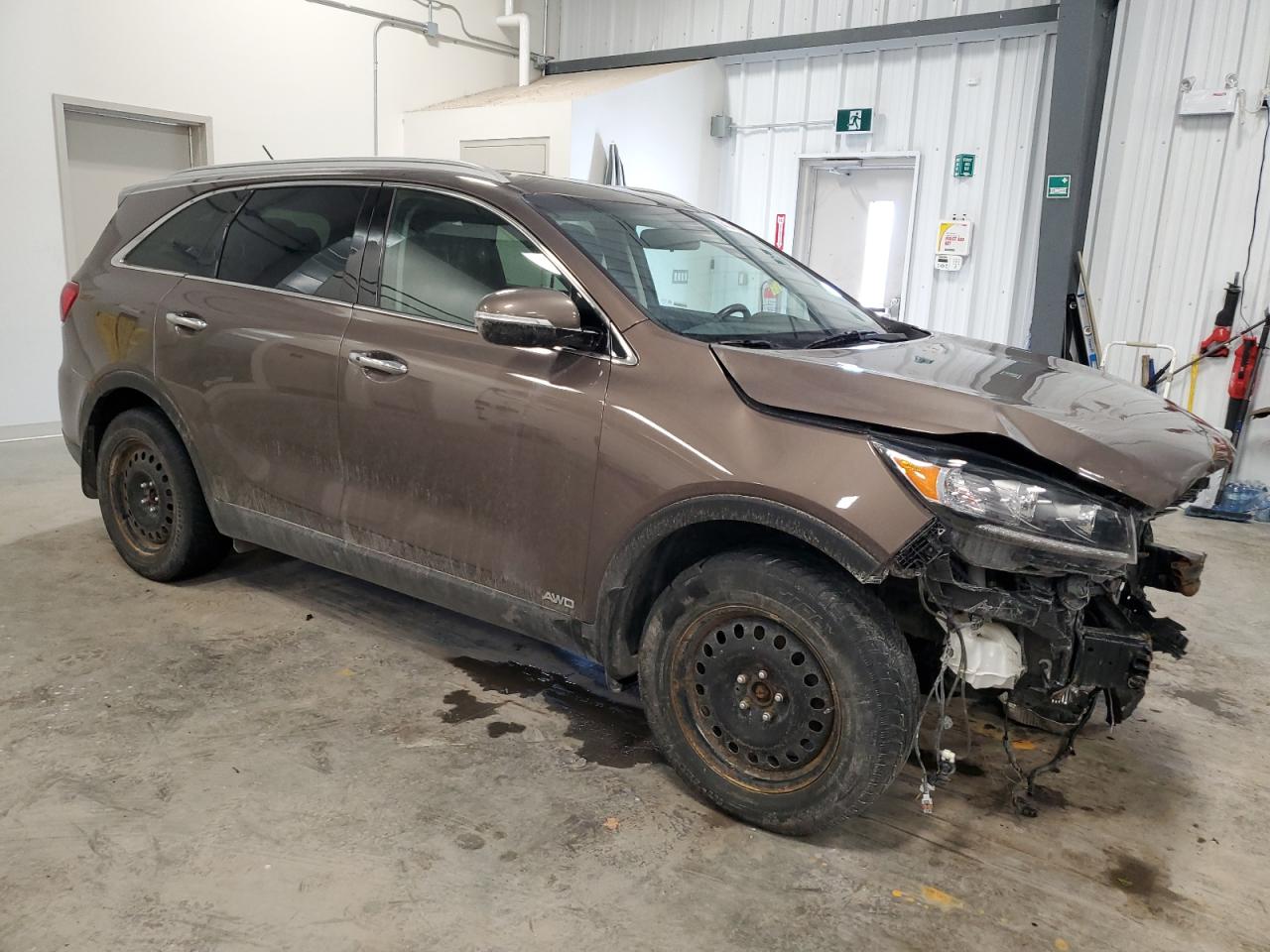 2019 KIA Sorento VIN 5XYPHDA35KG498443 Copart auction photo, front end / mechanical damage thumbnail 4