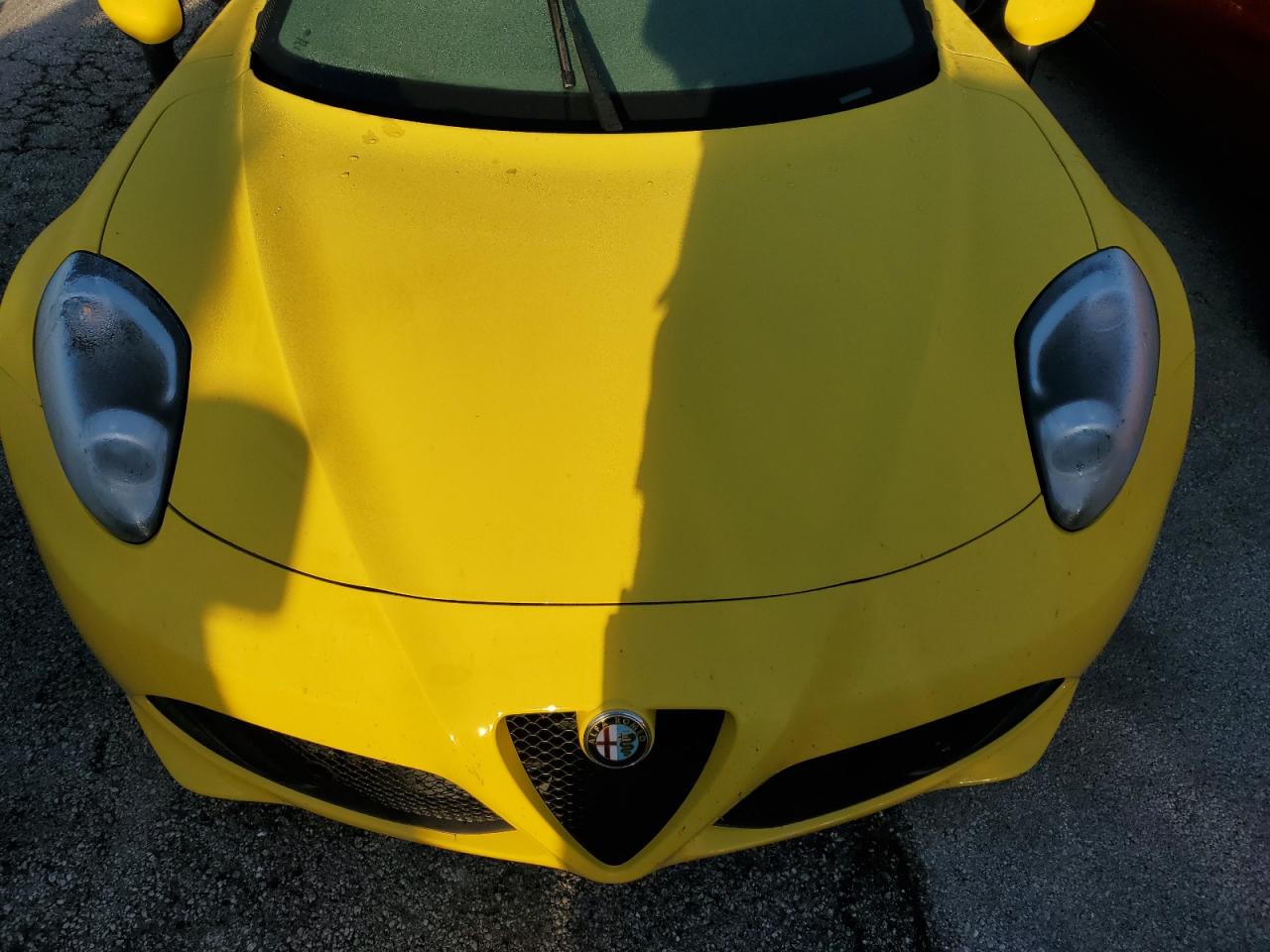 2016 Alfa Romeo 4C VIN ZARBAAB44GM181561 Copart auction photo, water/flood damage thumbnail 11