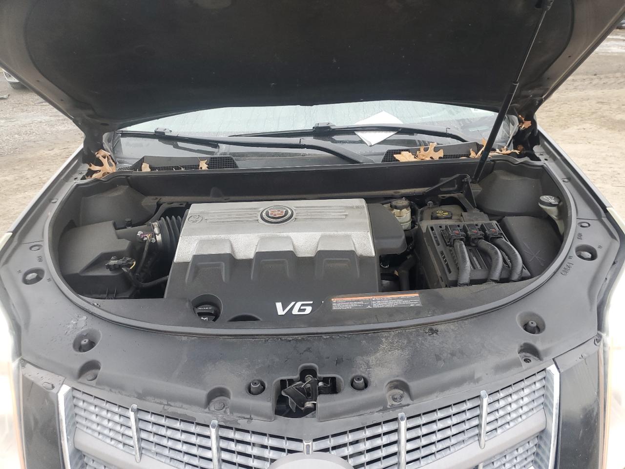 2010 Cadillac SRX VIN 3GYFNAEY4AS516981 Copart auction photo, side damage thumbnail 12