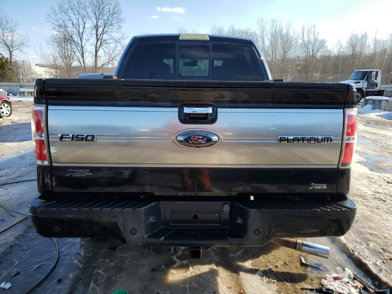 2010 Ford F-150 VIN 1FTFW1EV5AFB19423 Copart auction photo, side damage thumbnail 6