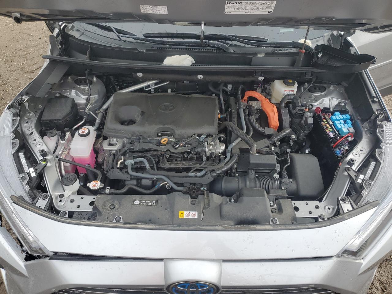 2023 Toyota RAV 4 VIN 4T3D6RFV8PU137698 Copart auction photo, side damage thumbnail 14