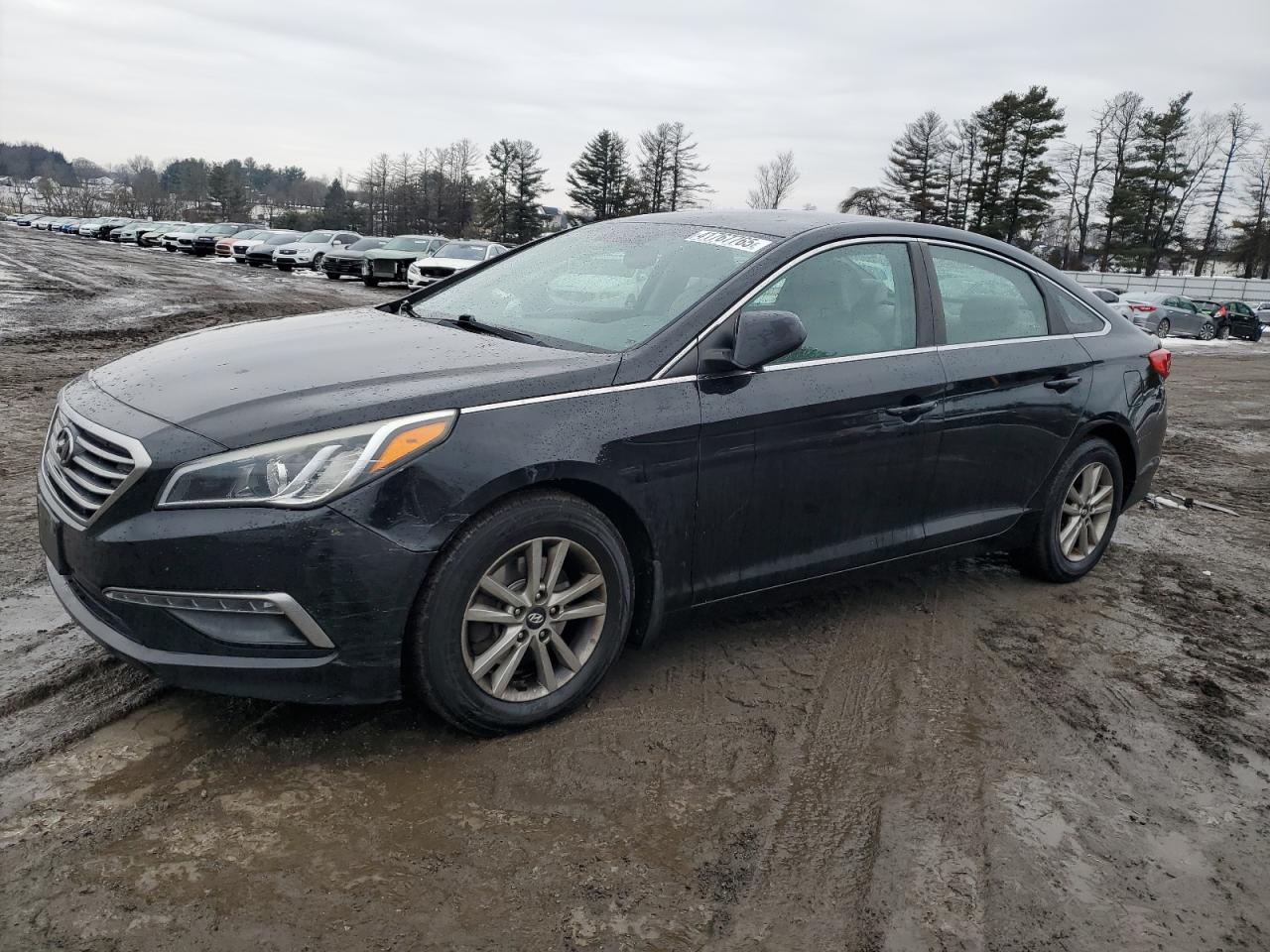 2015 Hyundai Sonata VIN 5NPE24AF0FH213276