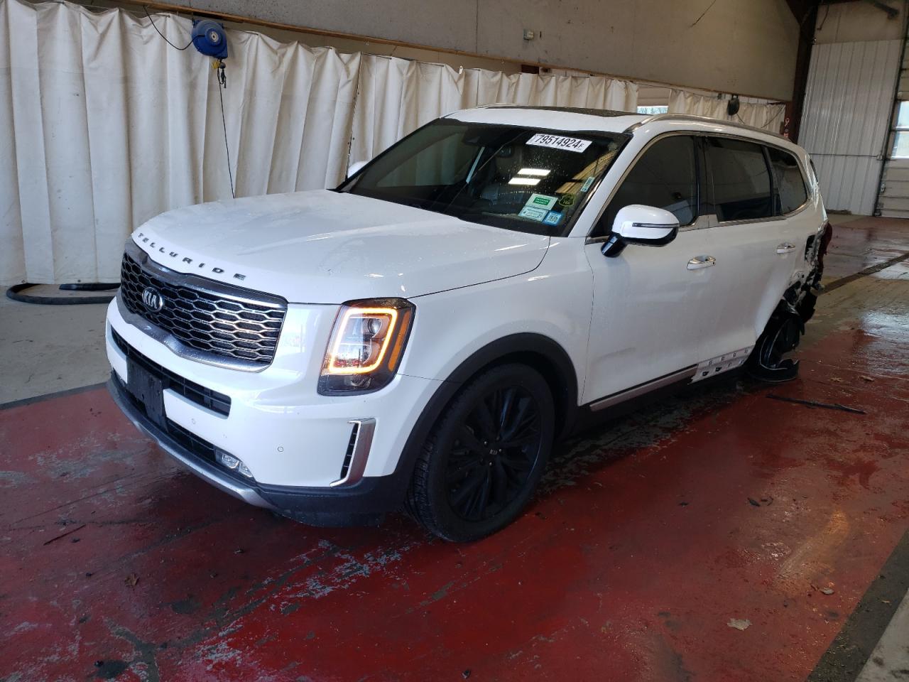 2020 KIA Telluride VIN 5XYP5DHC3LG017752