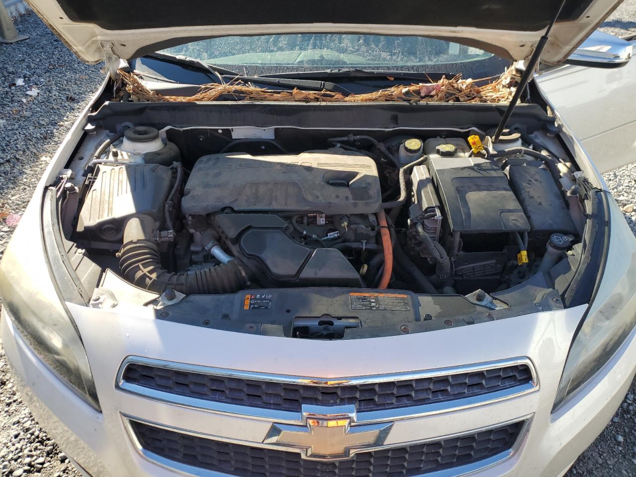 2013 Chevrolet Malibu VIN 1G11D5SR8DF188764 Copart auction photo, front end damage thumbnail 11