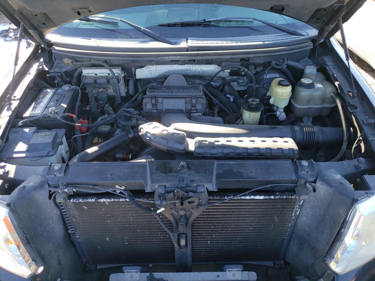 2008 Ford F-150 VIN 1FTPW14V38FA61425 Copart auction photo, side / hail damage thumbnail 11