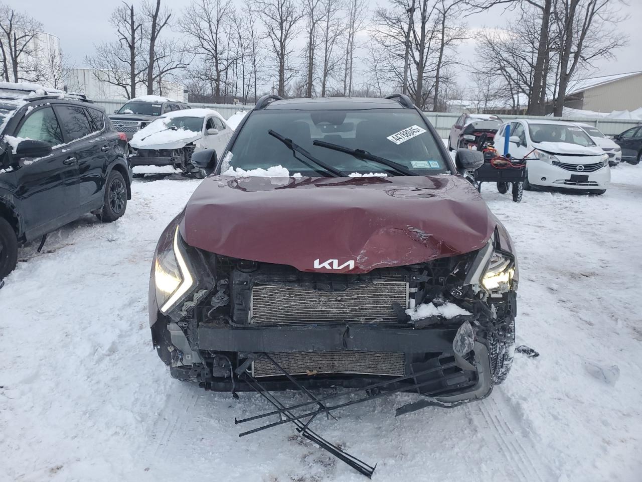 2023 KIA Sportage VIN 5XYK6CAF1PG067433 Copart auction photo, front end damage thumbnail 5