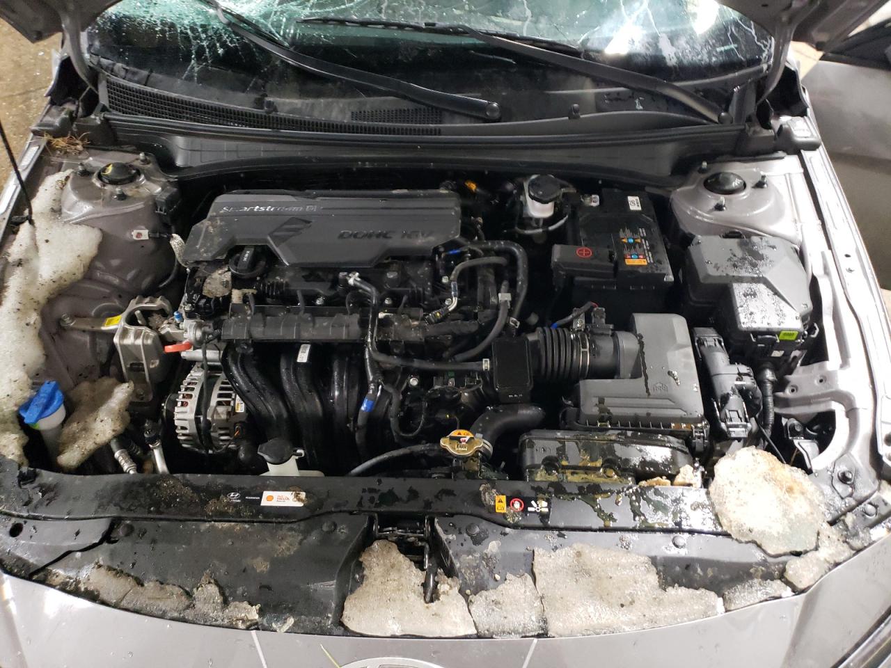 2024 Hyundai Elantra VIN KMHLM4DG0RU810102 Copart auction photo, all over damage thumbnail 11