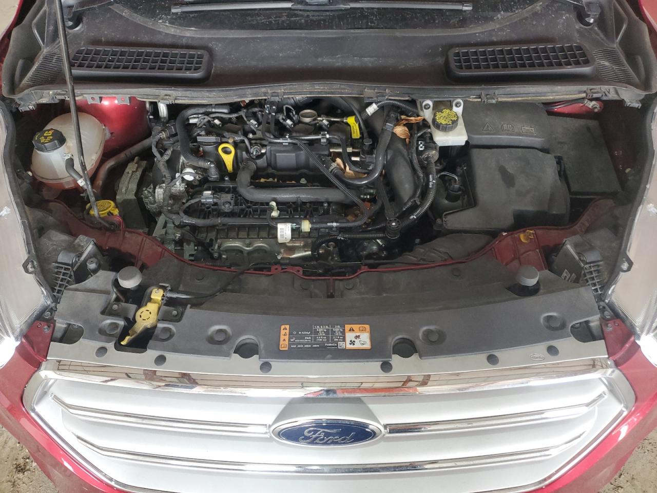 2019 Ford Escape VIN 1FMCU9HD5KUA95482 Copart auction photo, rear end / all over damage thumbnail 12