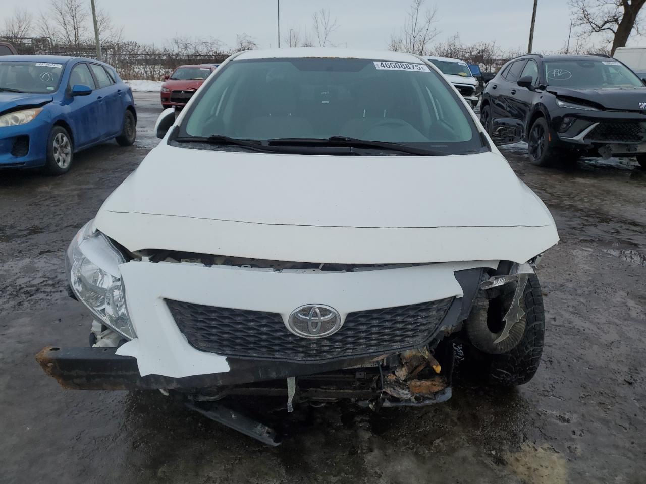 2010 Toyota Corolla VIN 2T1BU4EE8AC398123 Copart auction photo, front end damage thumbnail 5