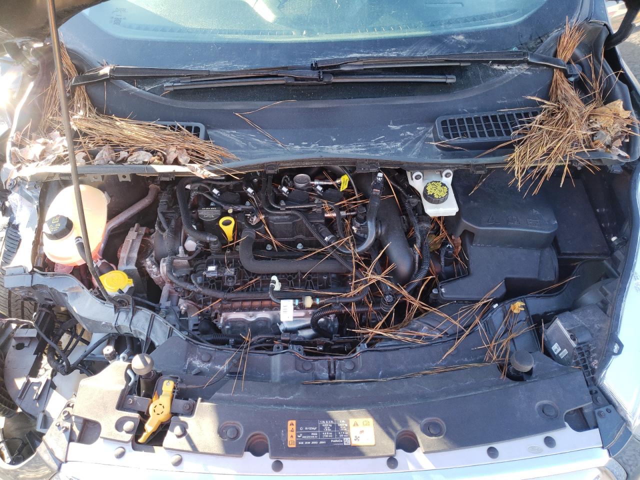 2019 Ford Escape VIN 1FMCU0HD7KUB93456 Copart auction photo, front end / rear end damage thumbnail 12