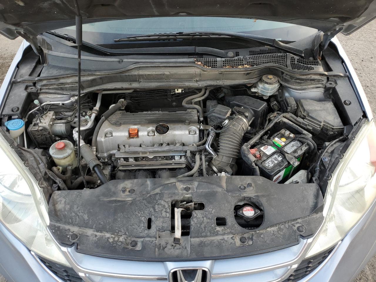 2010 Honda CR-V VIN 5J6RE3H76AL049788 Copart auction photo, side damage thumbnail 12