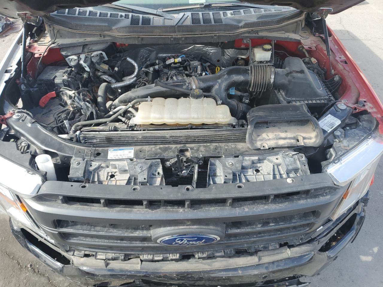 2021 Ford F-150 VIN 1FTEW1CP0MKD32677 Copart auction photo, all over / hail damage thumbnail 11