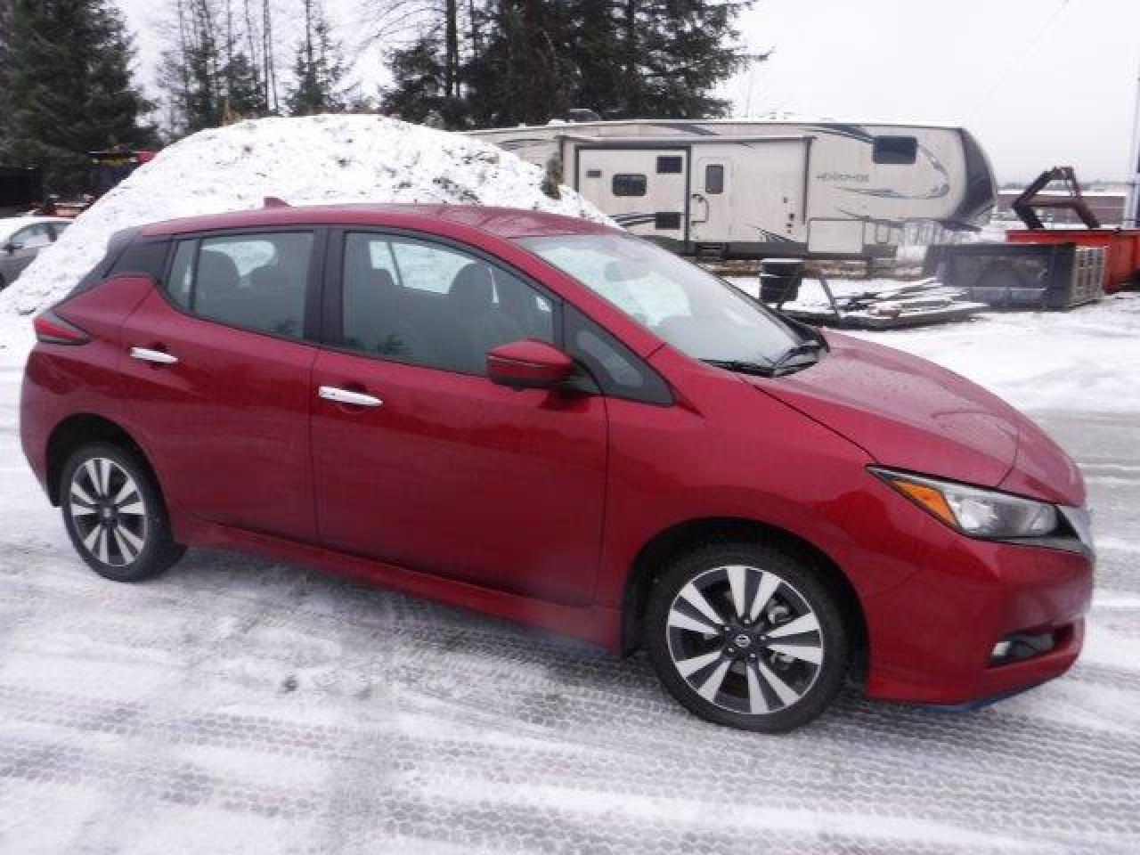 2020 Nissan Leaf VIN 1N4BZ1DP1LC304233 Copart auction photo, side damage thumbnail 4