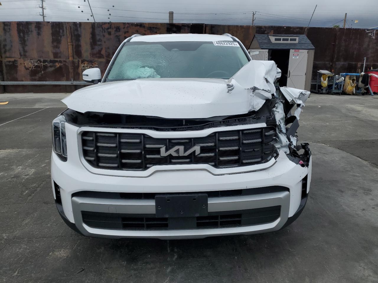 2024 KIA Telluride VIN 5XYP64GC0RG426069 Copart auction photo, front end damage thumbnail 5
