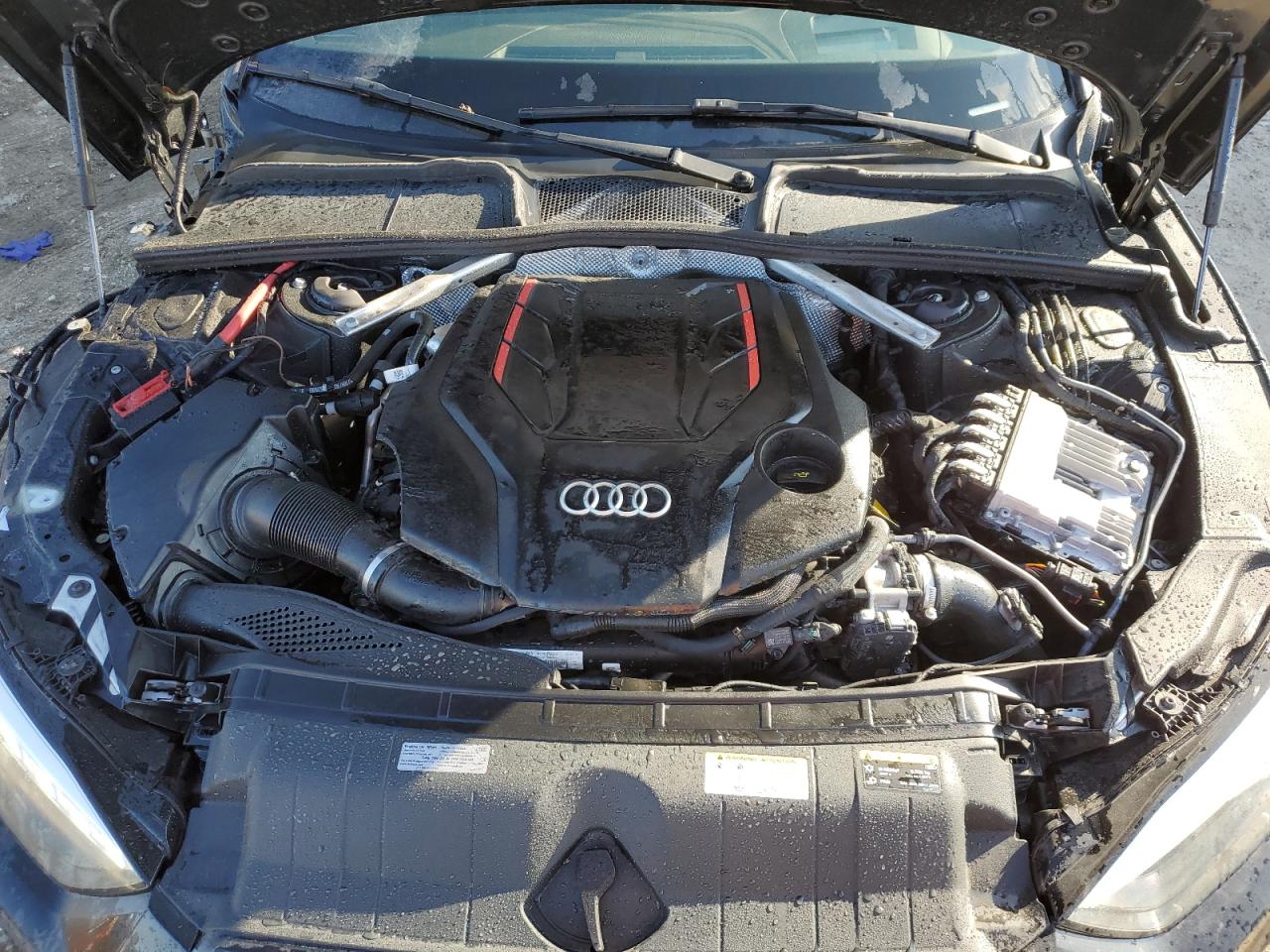 2023 Audi RS5 VIN WAUB4CF57PA061560 Copart auction photo, side / front end damage thumbnail 11