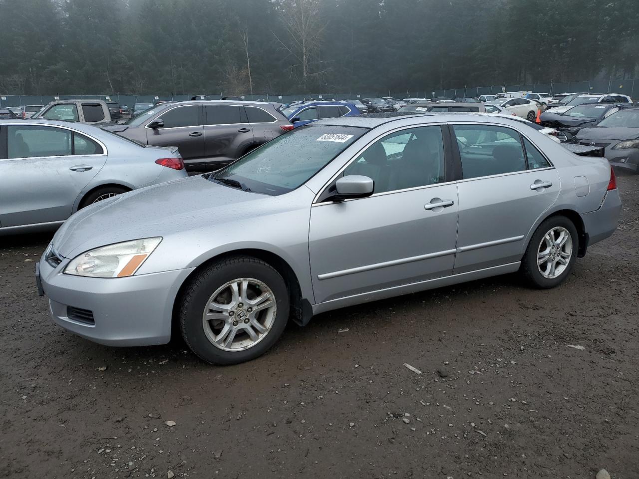 2006 Honda Accord VIN 1HGCM55866A174365