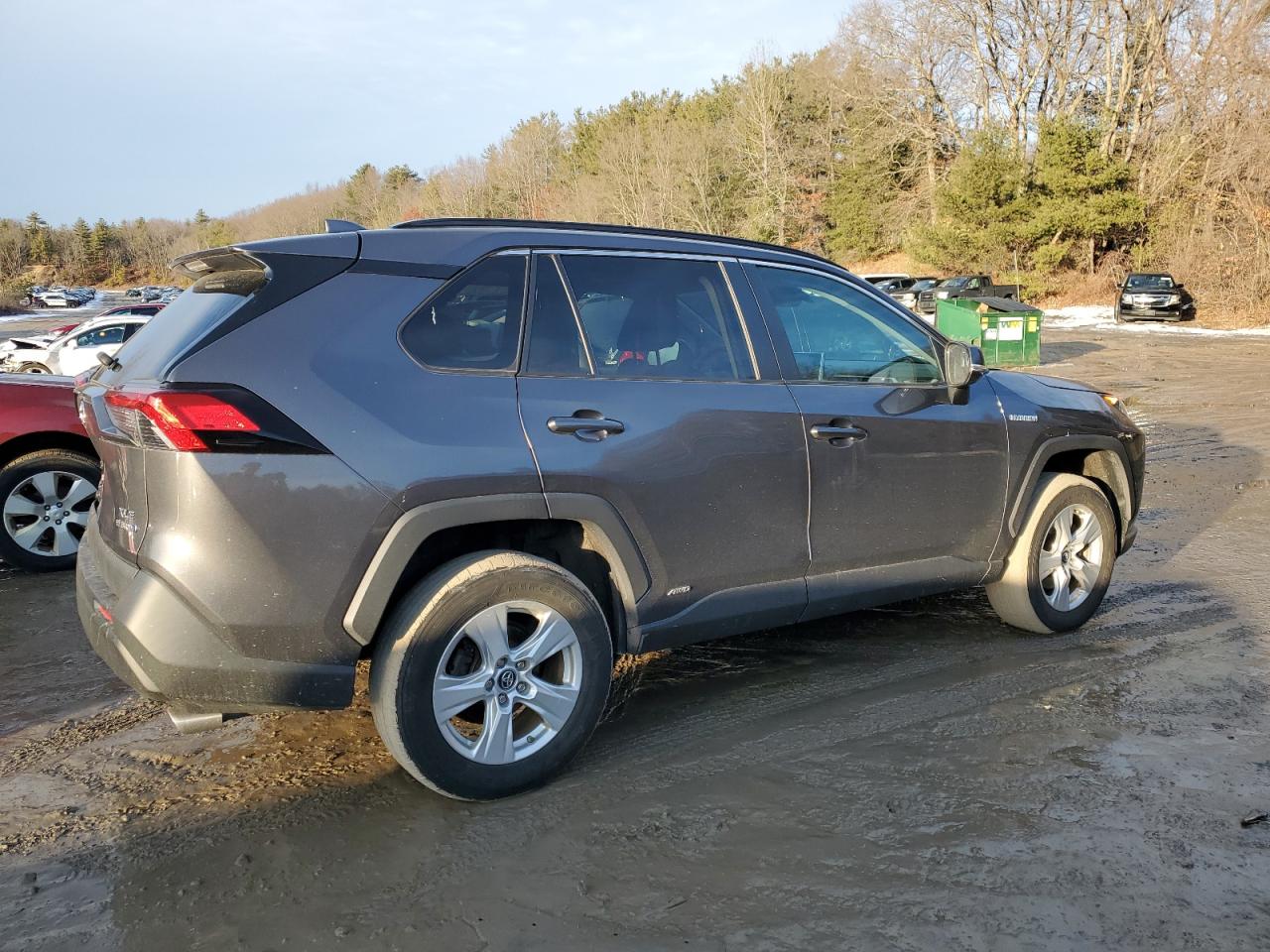 2019 Toyota RAV 4 VIN 2T3RWRFV0KW045872 Copart auction photo, rear end damage thumbnail 3