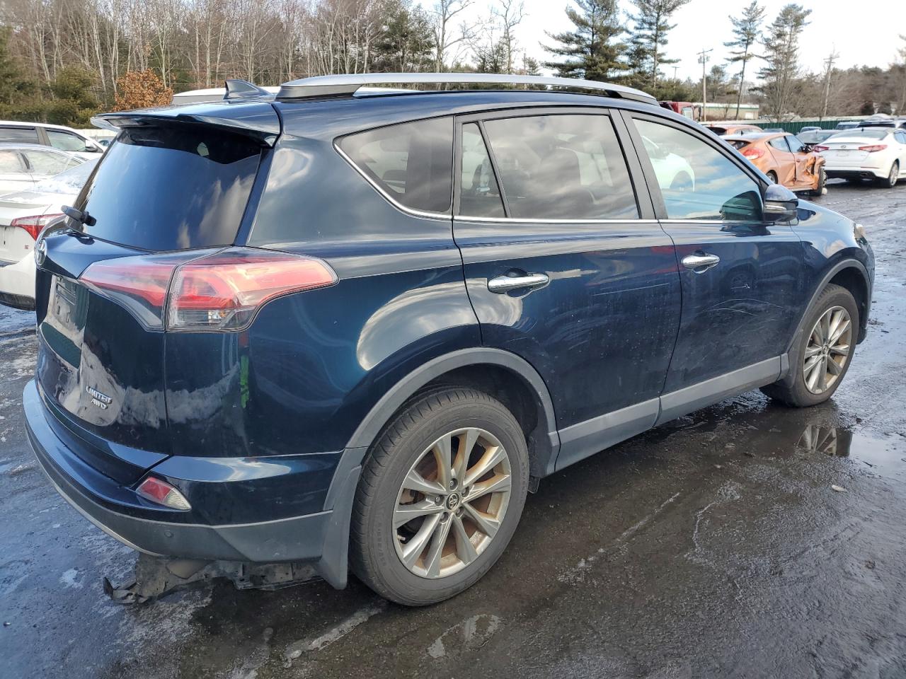 2017 Toyota RAV 4 VIN 2T3DFREV2HW589892 Copart auction photo, side / minor dent/scratches damage thumbnail 3