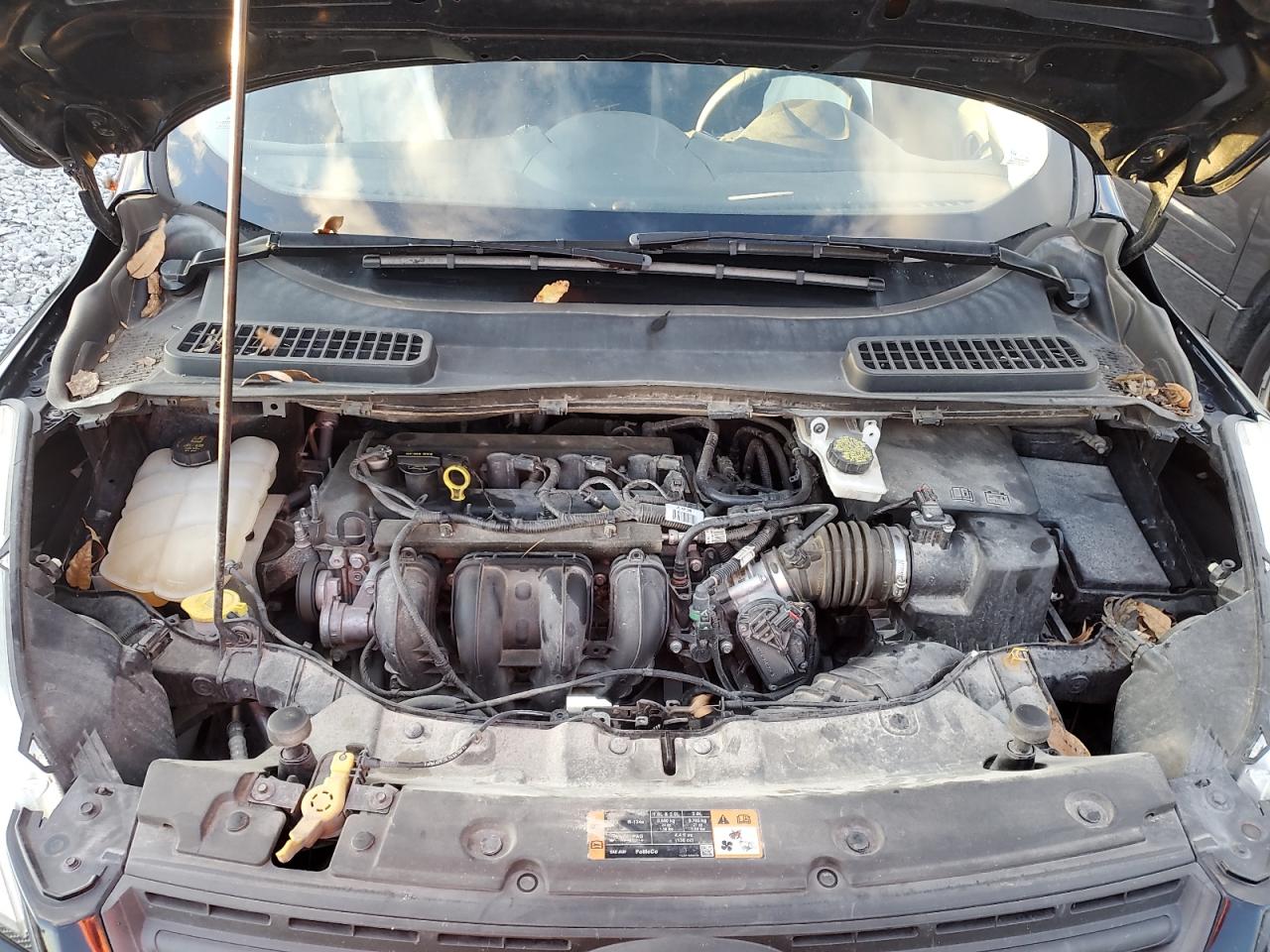 2016 Ford Escape VIN 1FMCU0F74GUA05836 Copart auction photo, side damage thumbnail 11