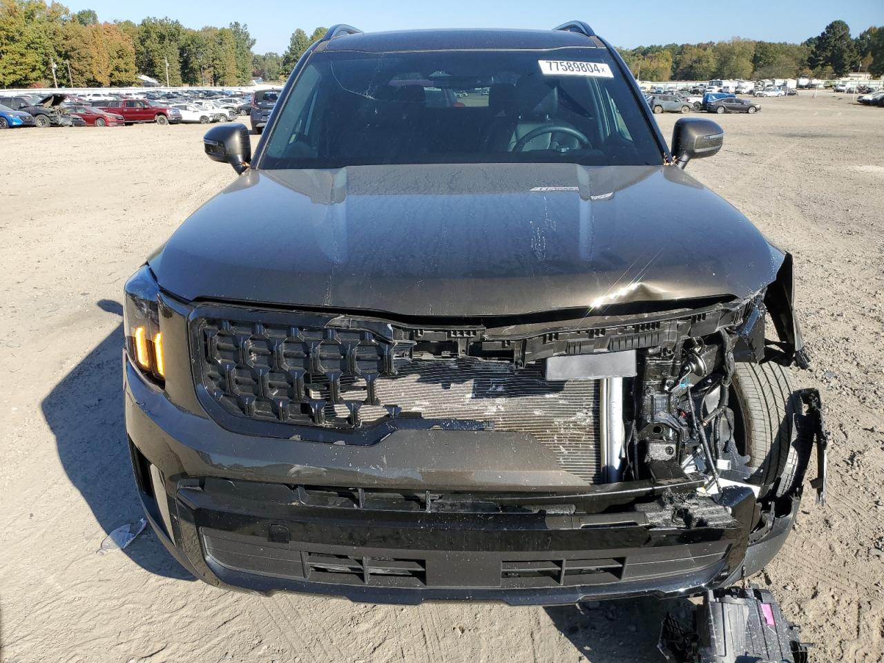 2024 KIA Telluride VIN 5XYP3DGC9RG512859 Copart auction photo, front end / minor dent/scratches damage thumbnail 5