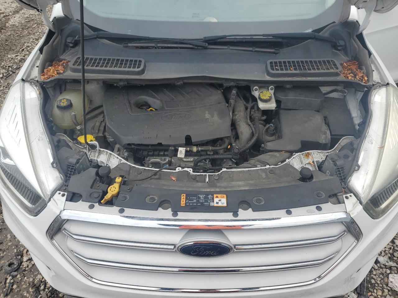 2018 Ford Escape VIN 1FMCU0HD6JUA52358 Copart auction photo, normal wear damage thumbnail 12