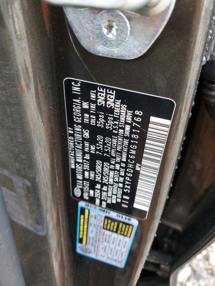 2021 KIA Telluride VIN 5XYP6DHC6MG181768 Copart auction photo, side damage thumbnail 13