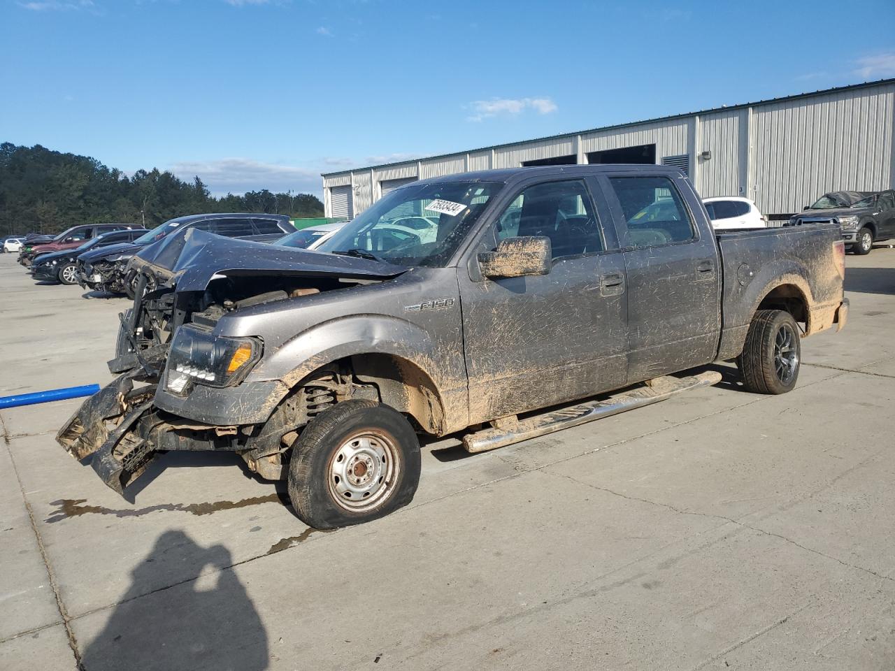 2009 Ford F-150 VIN 1FTRW12W49FA61925