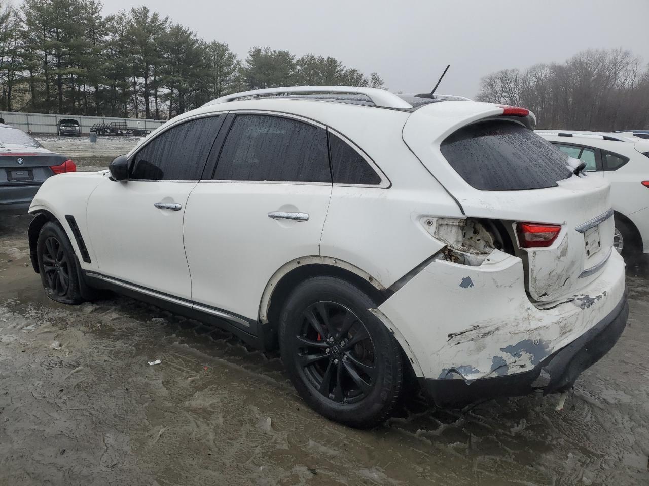 2010 Infiniti FX VIN JN8AS1MW2AM856420 Copart auction photo, front end / rear end damage thumbnail 2