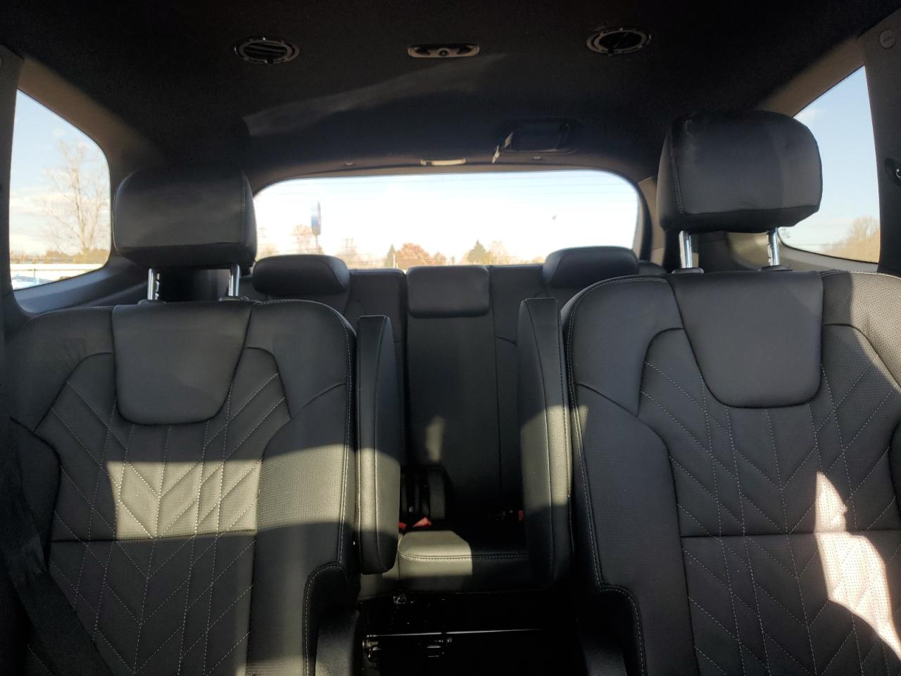 2023 KIA Telluride VIN 5XYP3DGC7PG405418 Copart auction photo, front end / side damage thumbnail 10