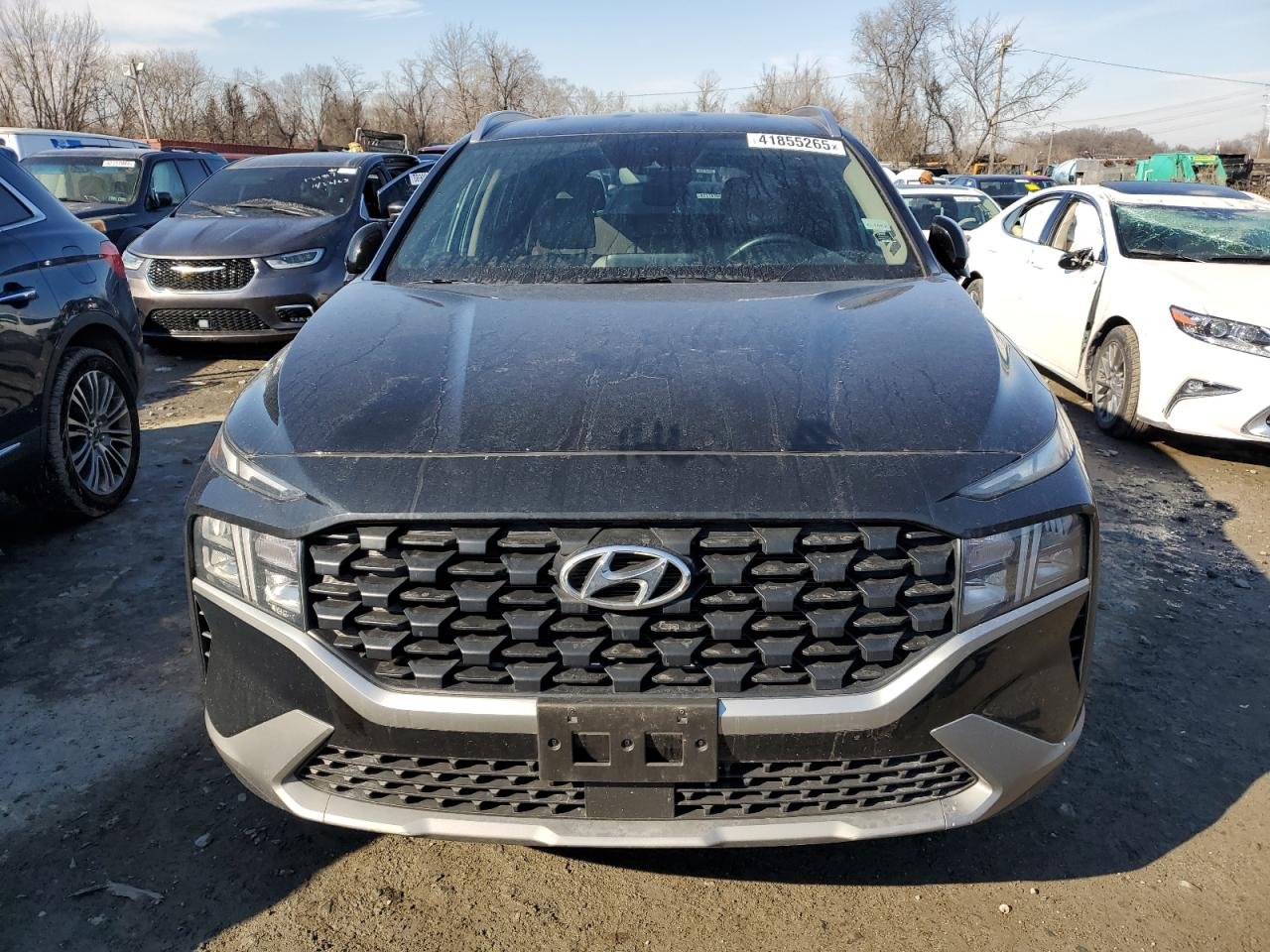 2023 Hyundai Santa Fe VIN 5NMS2DAJ8PH504663 Copart auction photo, side / rear end damage thumbnail 5