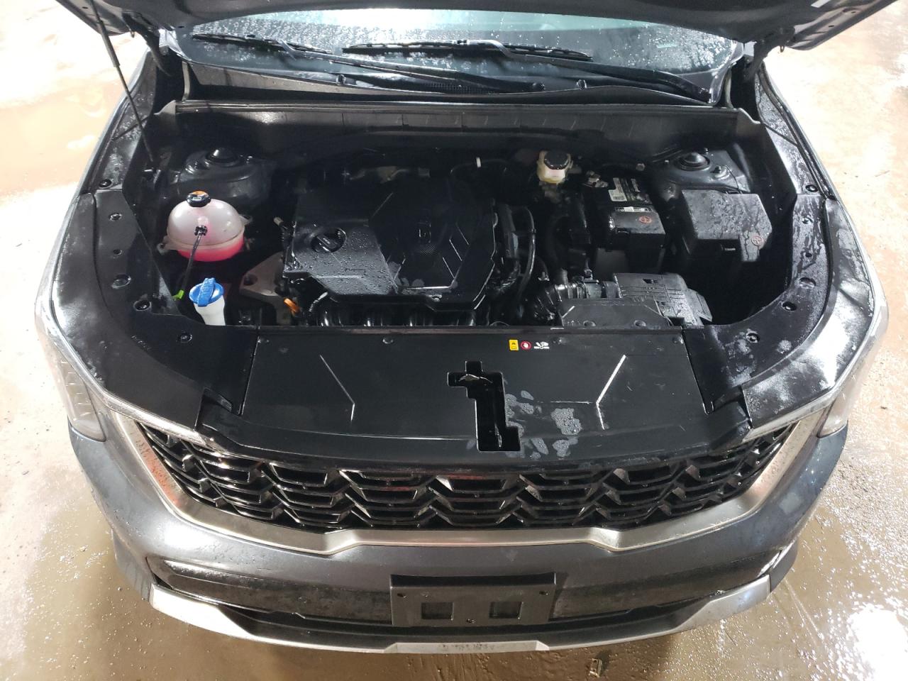 2024 KIA Sorento VIN 5XYRLDJCXRG282895 Copart auction photo, rear end damage thumbnail 12