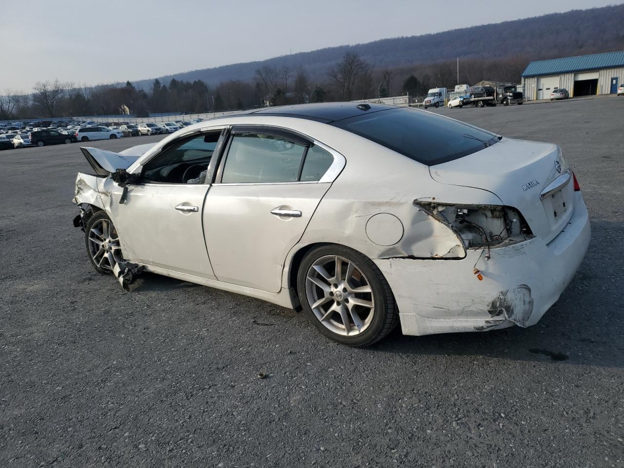 2010 Nissan Maxima VIN 1N4AA5AP0AC840568 Copart auction photo, all over damage thumbnail 2