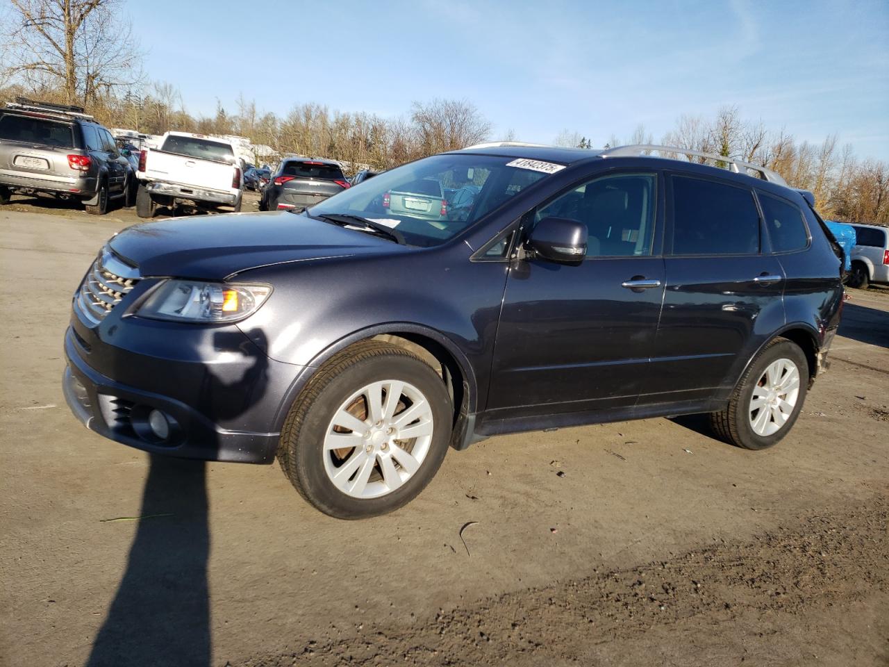 2010 Subaru Tribeca VIN 4S4WX9GD9A4401703
