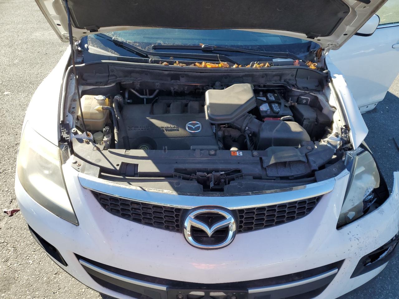 2009 Mazda CX-9 VIN JM3TB38VX90176261 Copart auction photo, front end / minor dent/scratches damage thumbnail 14