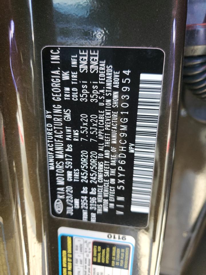 2021 KIA Telluride VIN 5XYP6DHC9MG103954 Copart auction photo, hail damage thumbnail 13