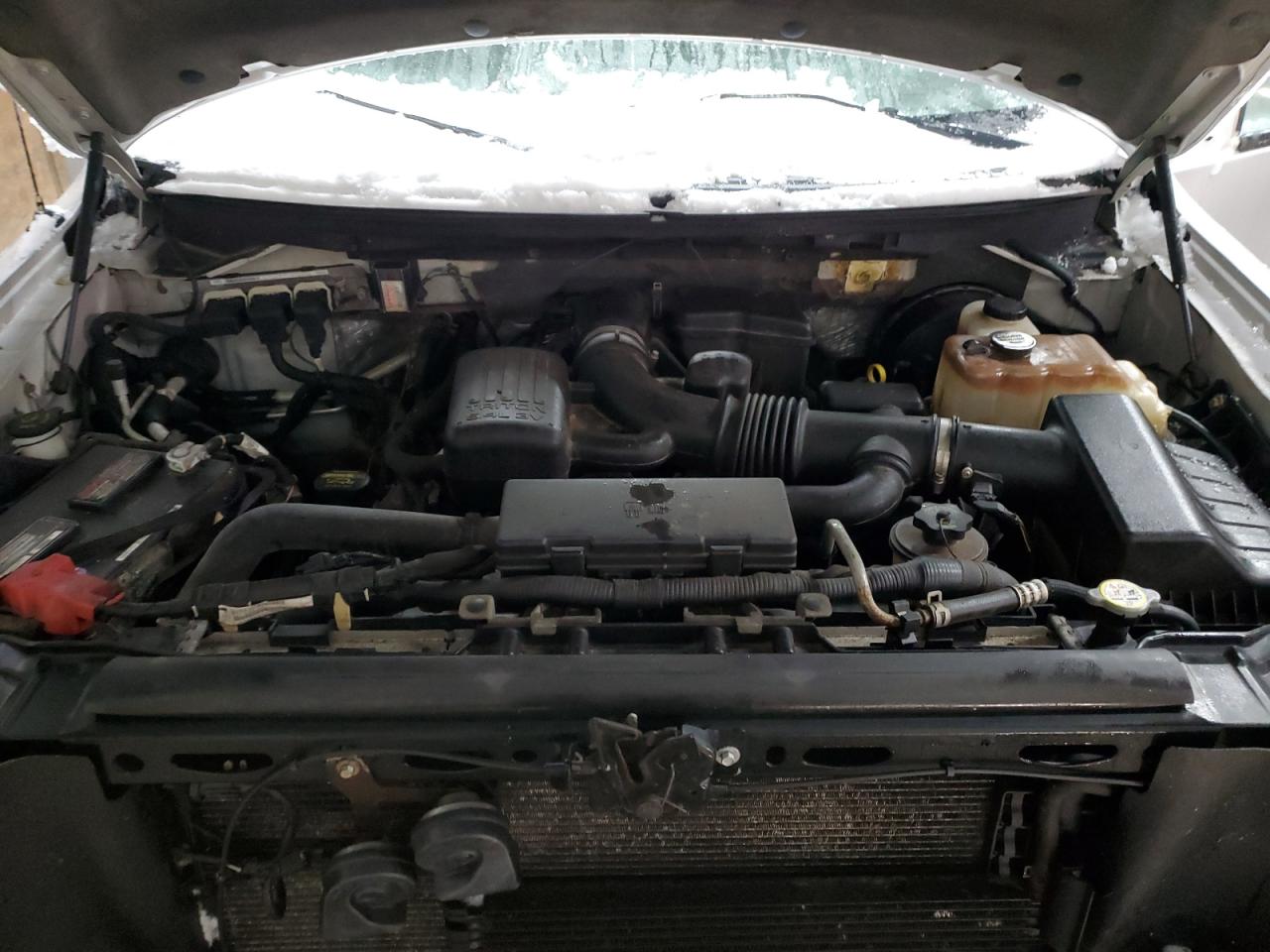 2009 Ford F-150 VIN 1FTPW14V49FB38420 Copart auction photo, side / minor dent/scratches damage thumbnail 11