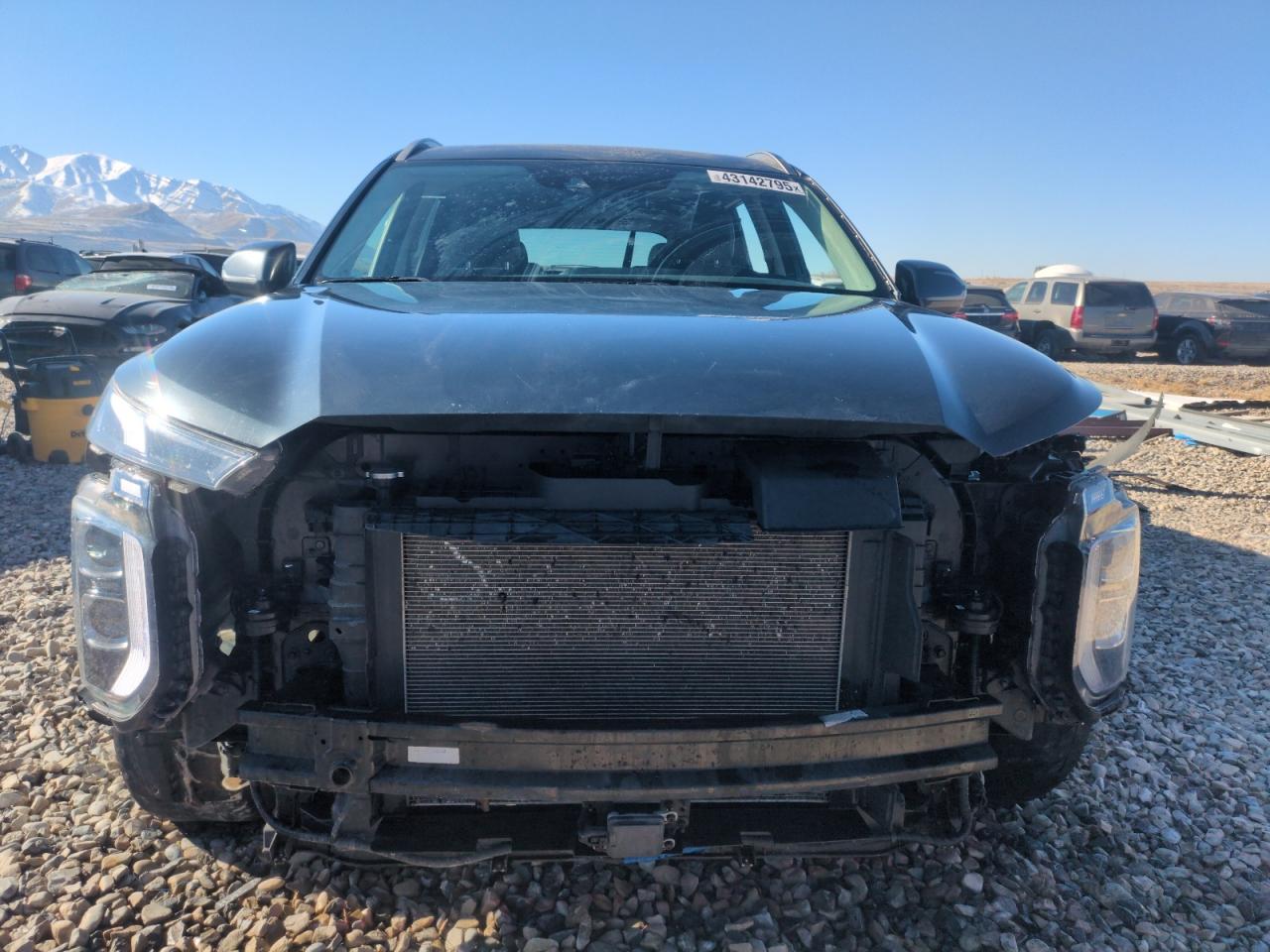 2020 Hyundai Palisade VIN KM8R2DHE4LU051096 Copart auction photo, side damage thumbnail 5