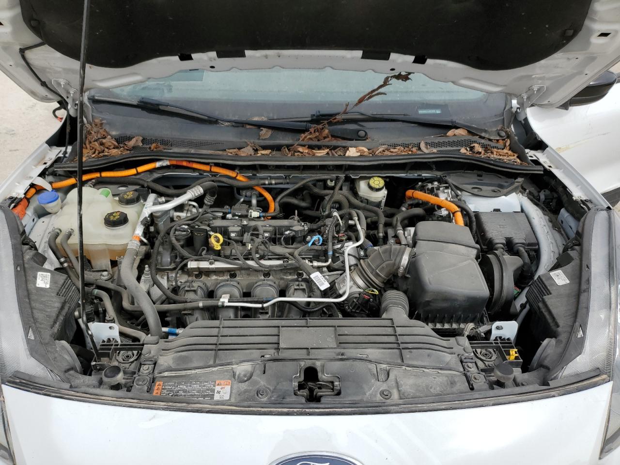 2020 Ford Escape VIN 1FMCU9BZ1LUB10095 Copart auction photo, side damage thumbnail 12