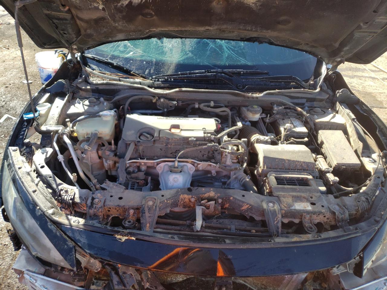 2019 Honda Civic VIN 2HGFC4B83KH308520 Copart auction photo, front end damage thumbnail 11