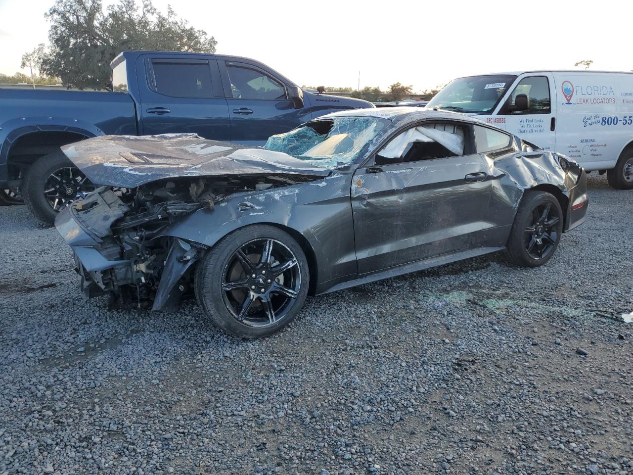 2019 Ford Mustang VIN 1FA6P8THXK5194067