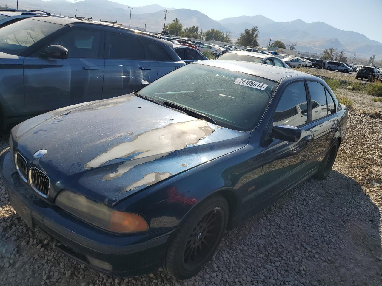 1999 BMW 5er VIN WBADN5332XGC91625
