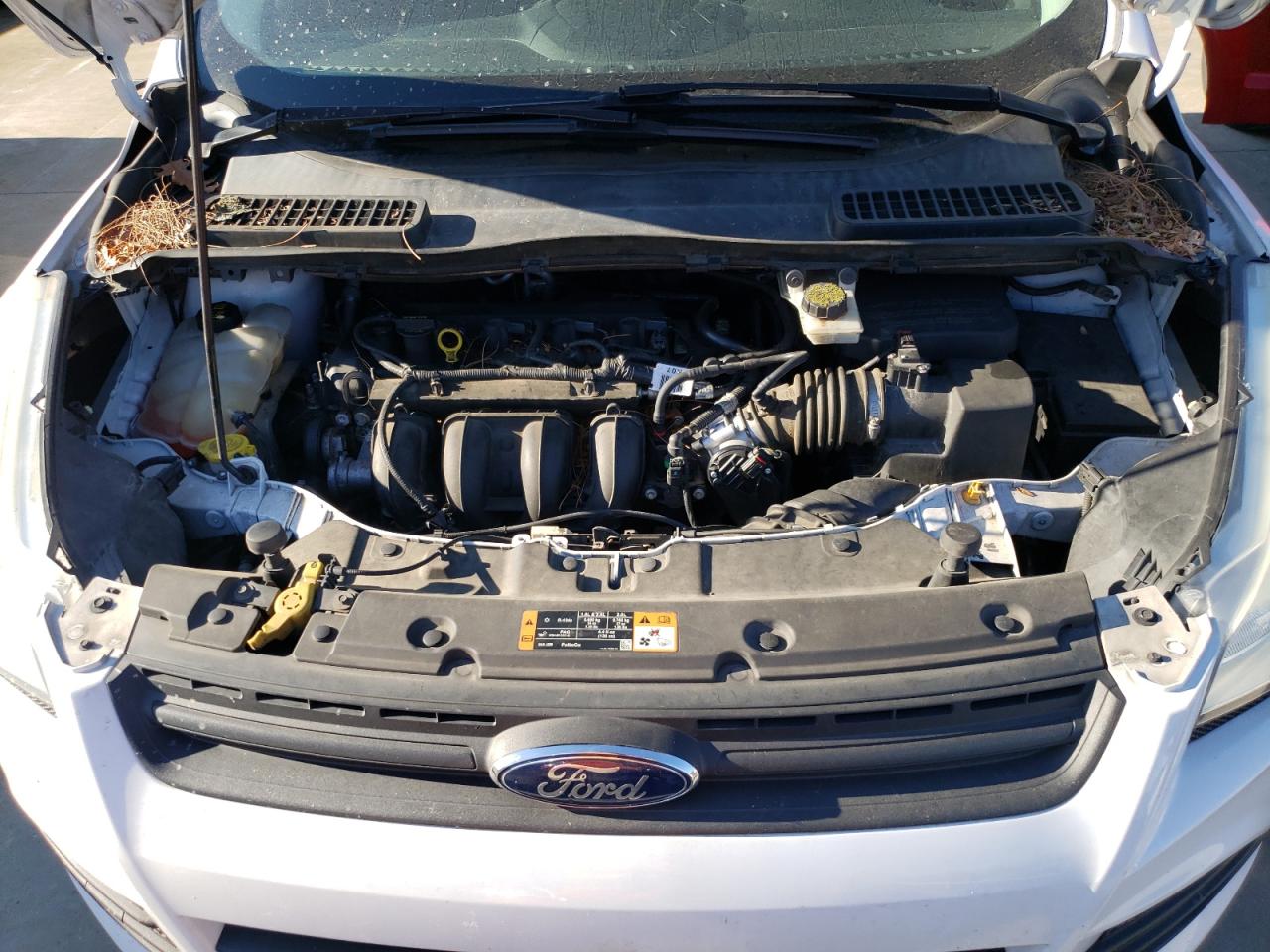 2015 Ford Escape VIN 1FMCU0F7XFUB47297 Copart auction photo, minor dent/scratches damage thumbnail 12