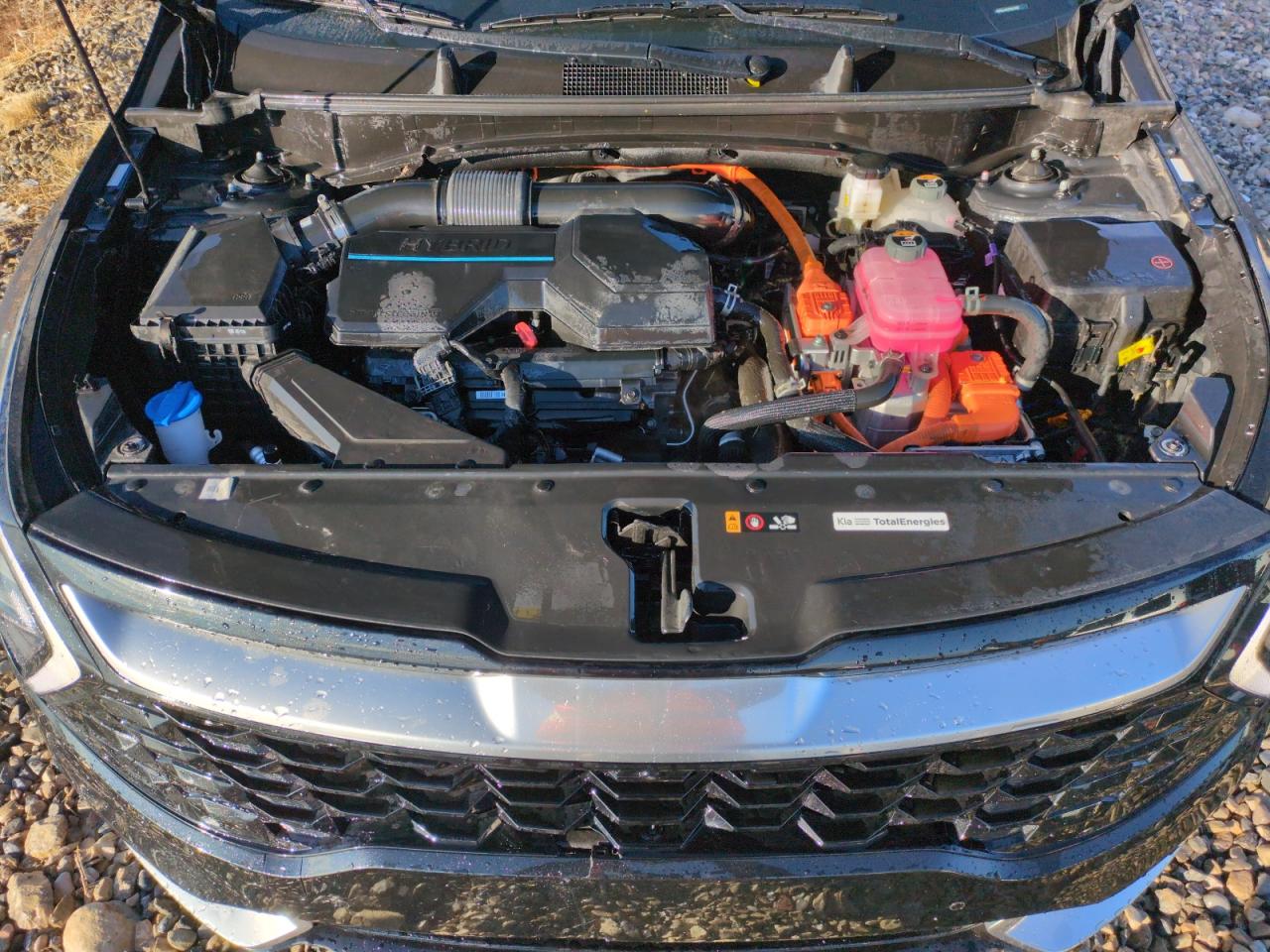 2023 KIA Sportage VIN KNDPXCAG4P7047699 Copart auction photo, front end damage thumbnail 11