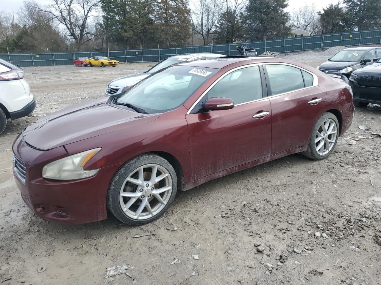 2009 Nissan Maxima VIN 1N4AA51E29C814998
