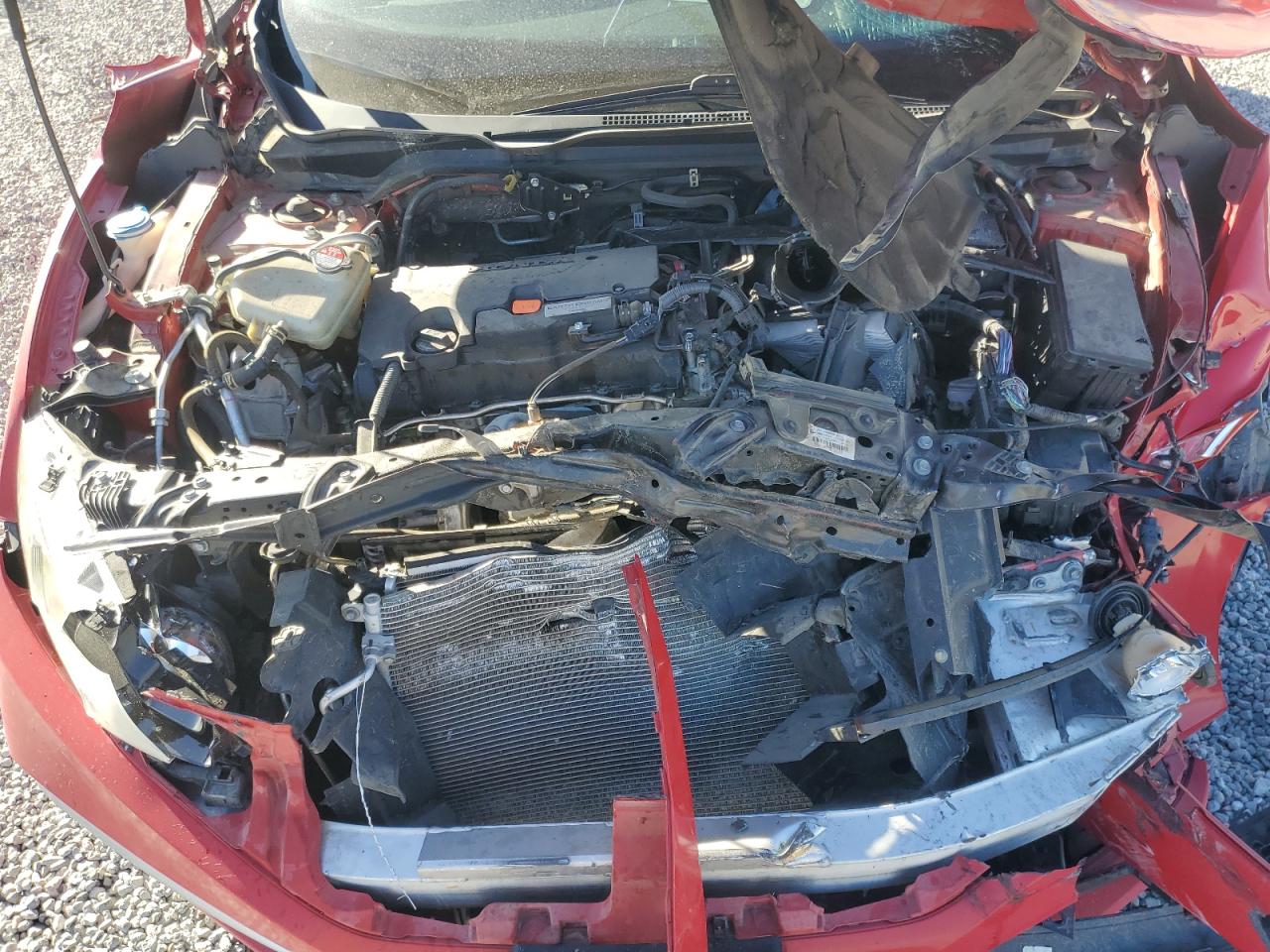 2020 Honda Civic VIN 2HGFC2F61LH557185 Copart auction photo, front end / side damage thumbnail 12