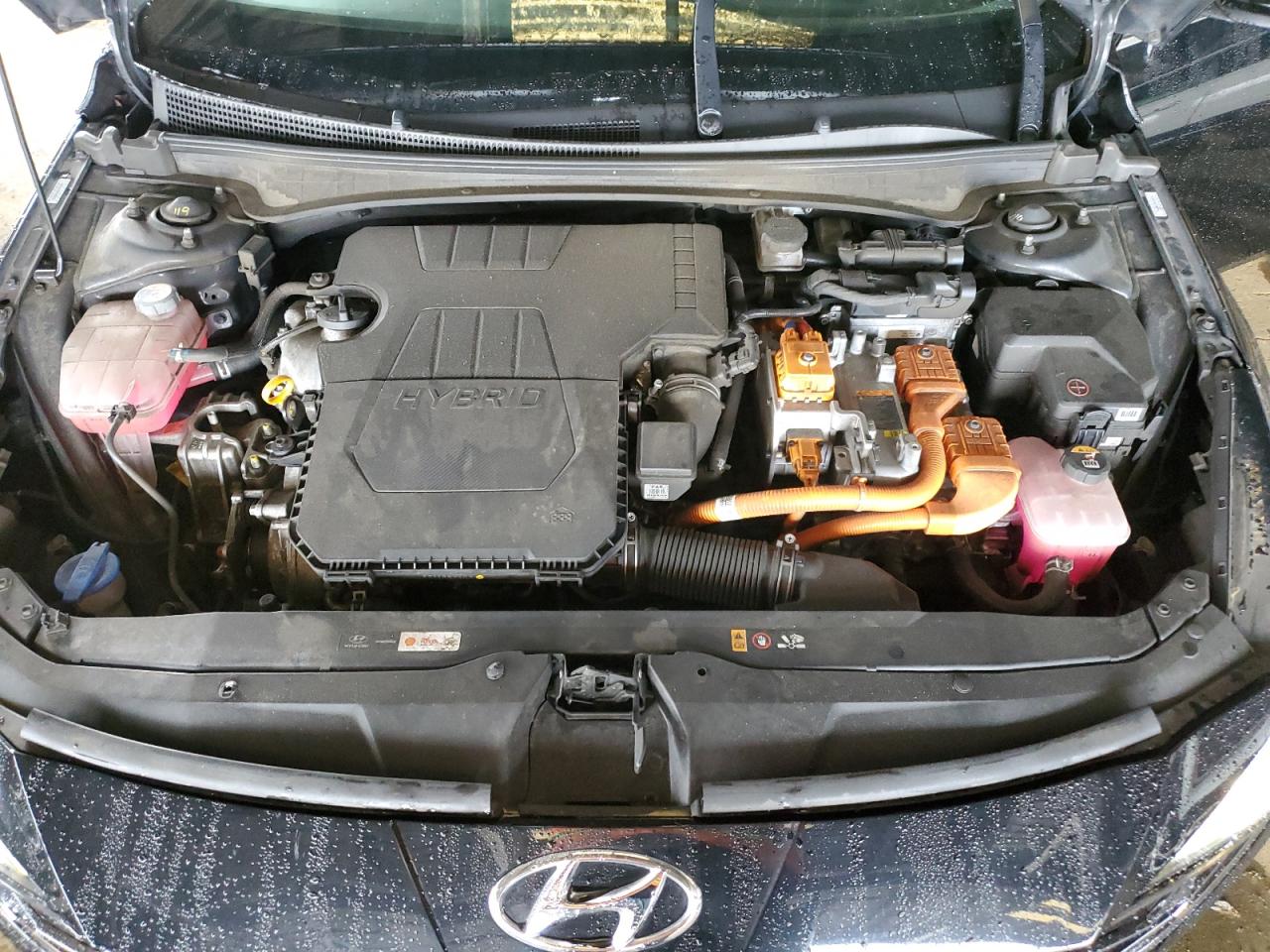 2023 Hyundai Elantra VIN KMHLN4AJ0PU080752 Copart auction photo, rear end damage thumbnail 11