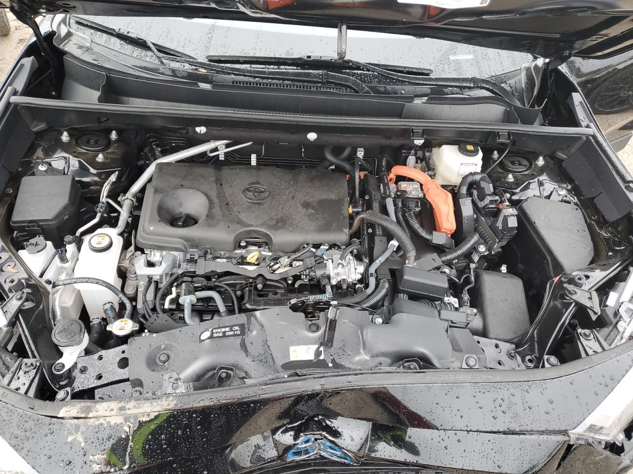2024 Toyota RAV 4 VIN 4T3LWRFV8RU135707 Copart auction photo, front end / minor dent/scratches damage thumbnail 12